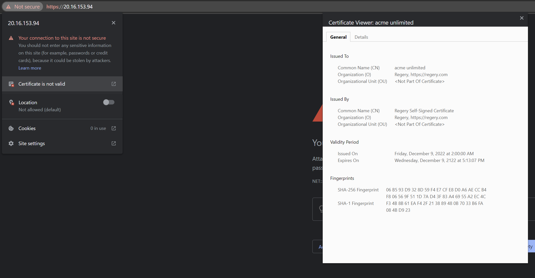 Our new fake certificate throwing the expected validation error in browser. Beautiful!