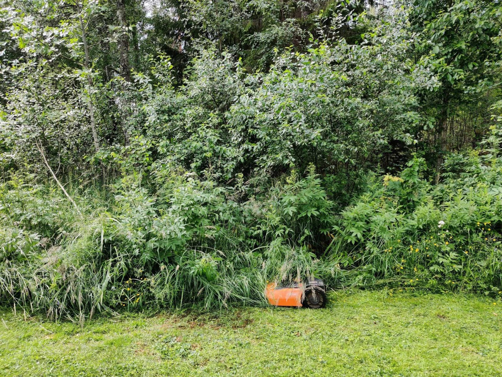 Cover image for Frequently Asked Robot Lawn Mower Questions
