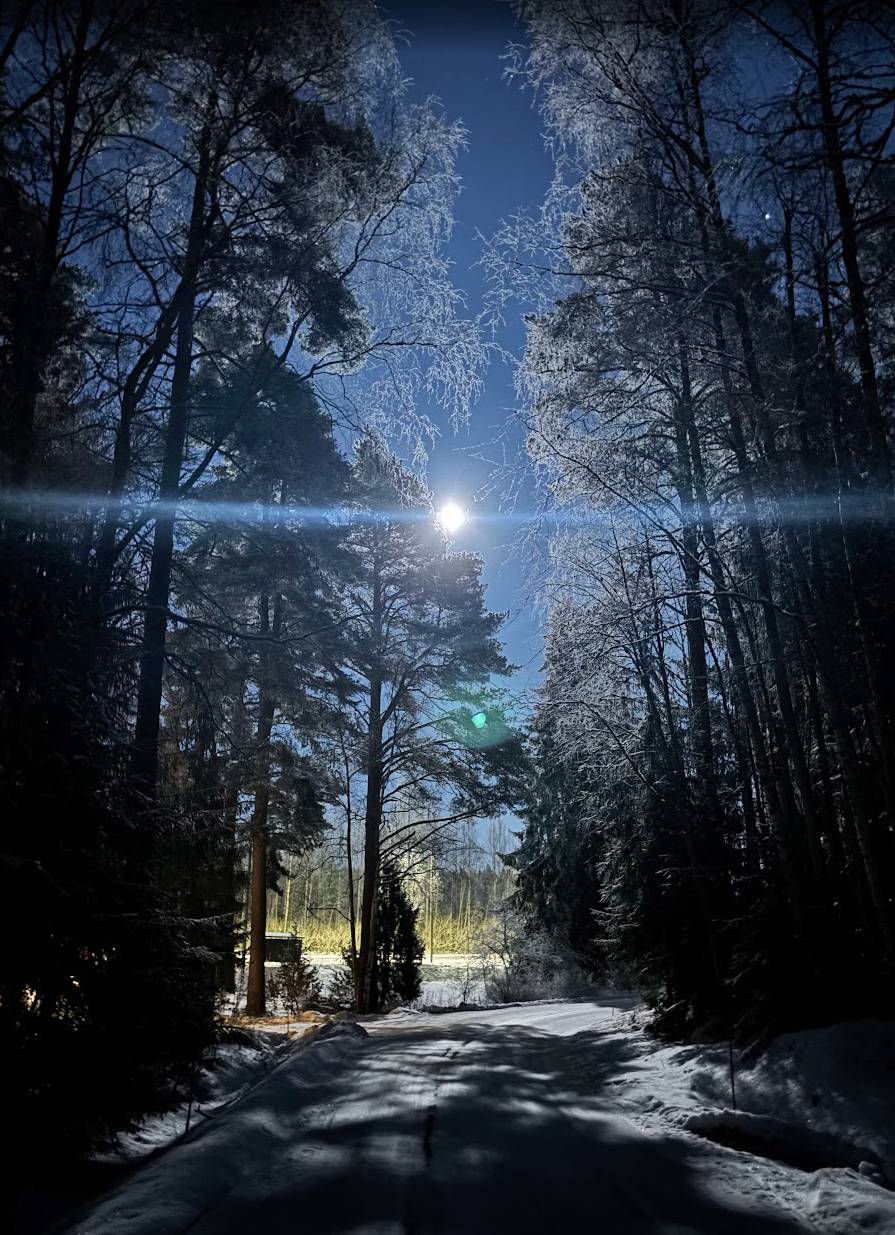 Winter in Finland can have freezing cold temperatures - this night was no exception