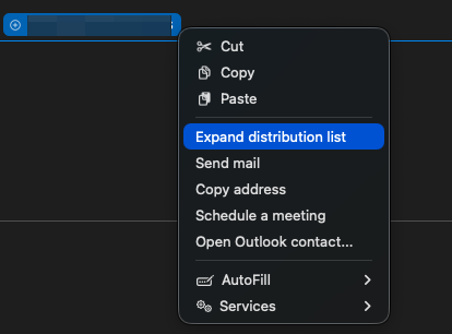 Expanded Outlook group showing members and details