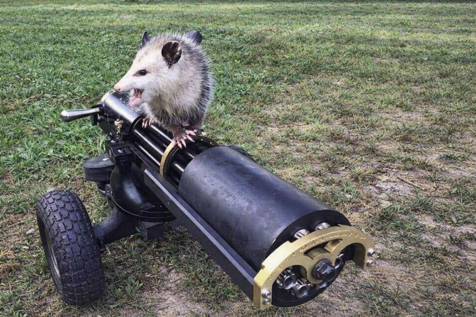 Picture somewhat related - we all have our threat models!