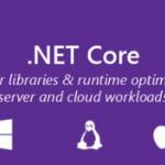 .NET Core fundamentals in one picture.