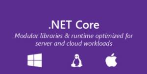 .NET Core fundamentals in one picture.