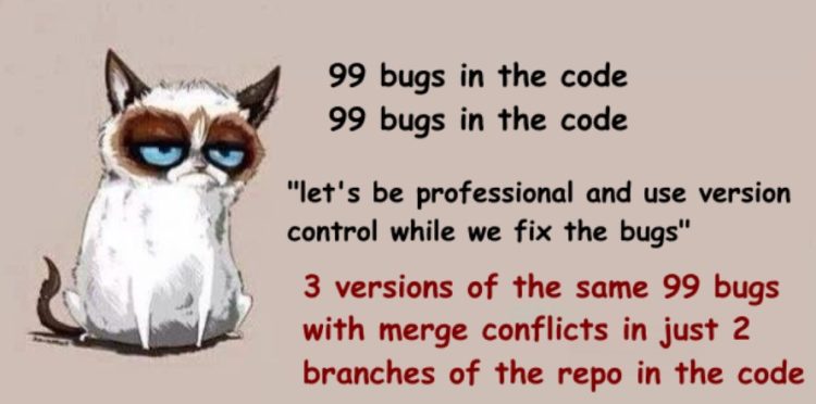 Version Control problems