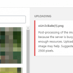 "Post-processing of the image failed likely because the server is busy or does not have enough resources. Uploading a smaller image may help. Suggested maximum size is 2500 pixels." when trying to upload a picture to WordPress.