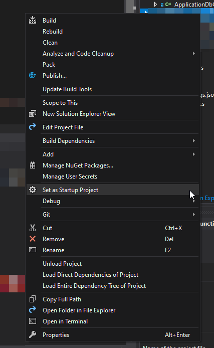 How to set a Startup Project in Visual Studio?