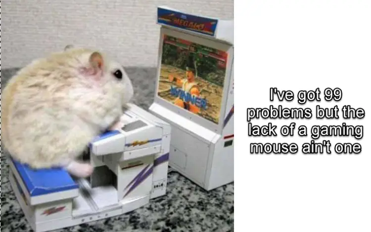 I've got 99 problems but the lack of a gaming mouse ain't one